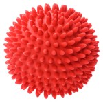 Neakasa dog bowl tt