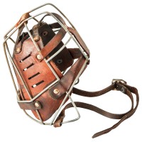 Neakasa Dog Toy facemask