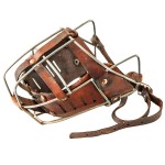 Neakasa Dog Toy facemask