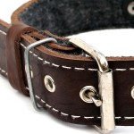 Neakasa Dog Toy Ring