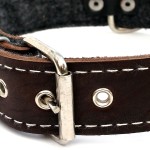 Neakasa Dog Toy Ring